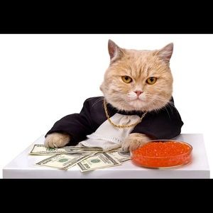 Meet your Posher, Posher